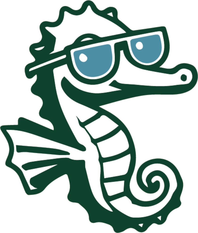 ROKI, the Seaweed Rocks seahorse
